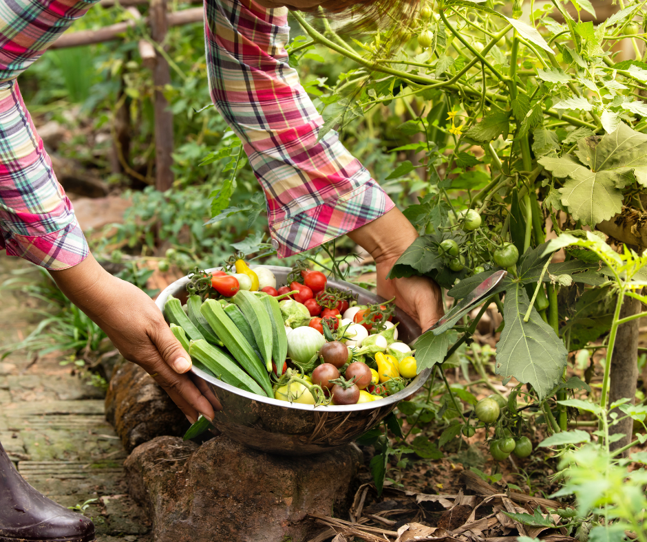 Che cosa significa davvero agricoltura biologica?