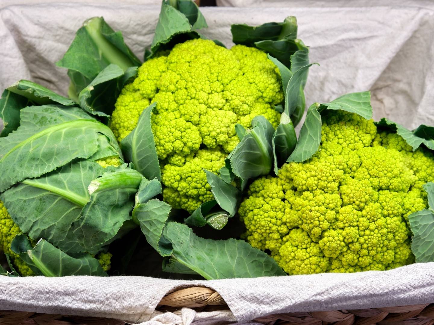 Il cavolfiore Verde BIO: scopri le sue proprietà uniche e deliziose ricette