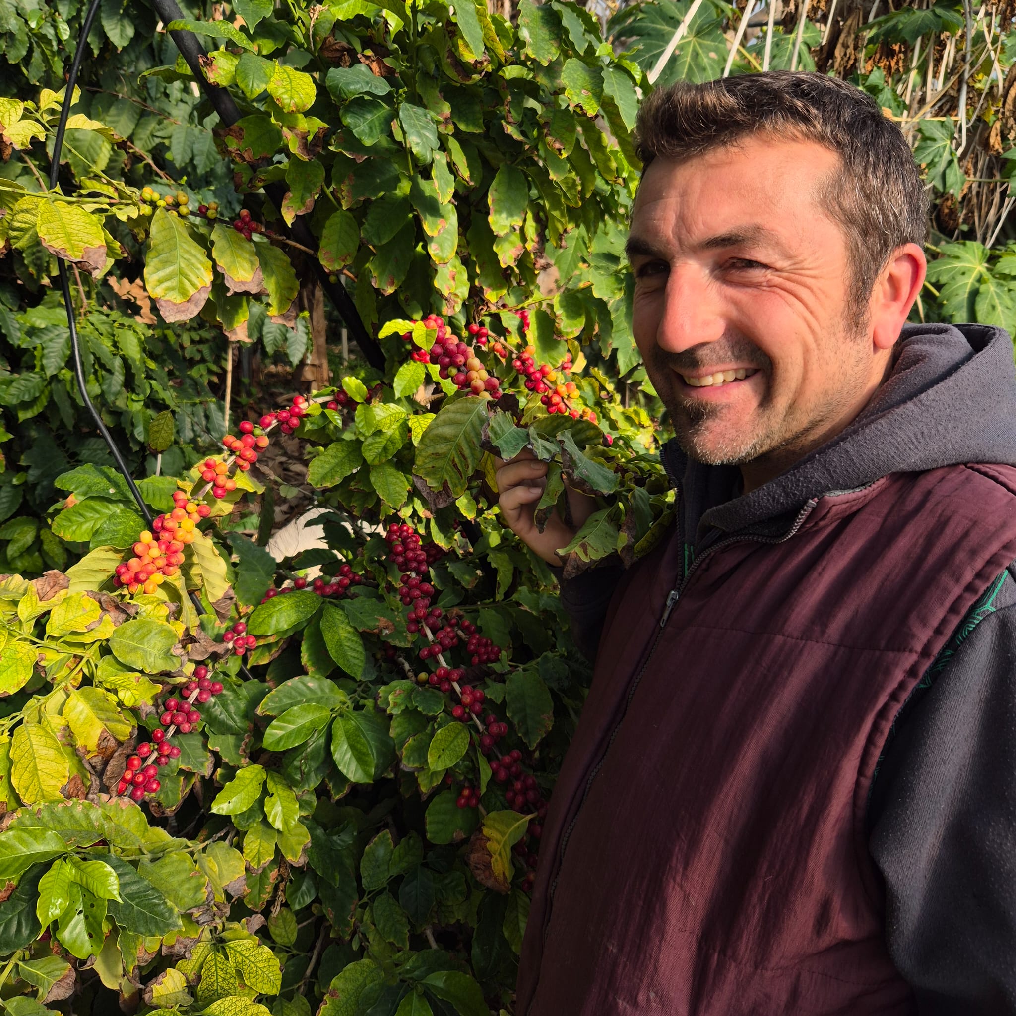 Rosolino Palazzolo: il produttore del primo caffè biologico siciliano coltivato a Terrasini