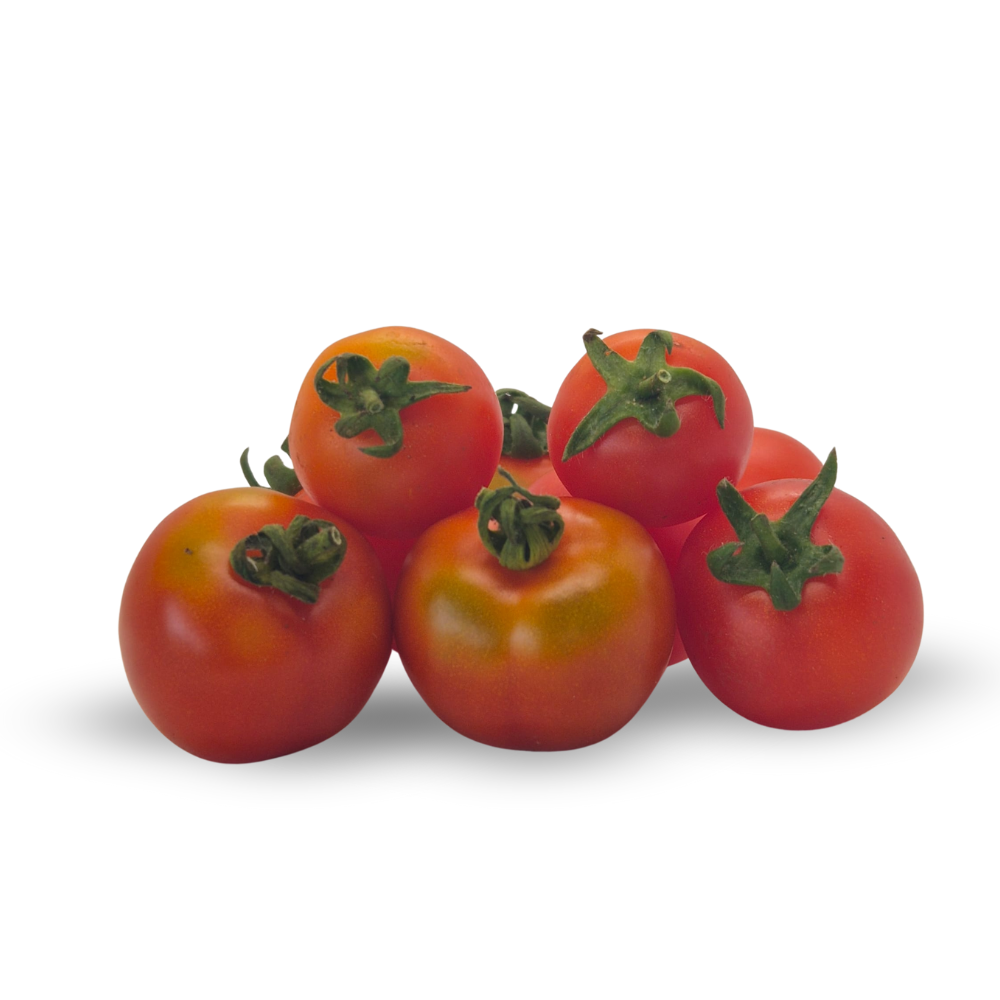 Pomodoro Pizzutello BIO