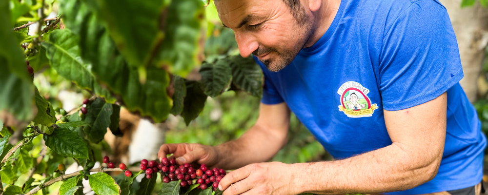 Liquore Rosso Caffè alla Cascara Bio – Artigianale